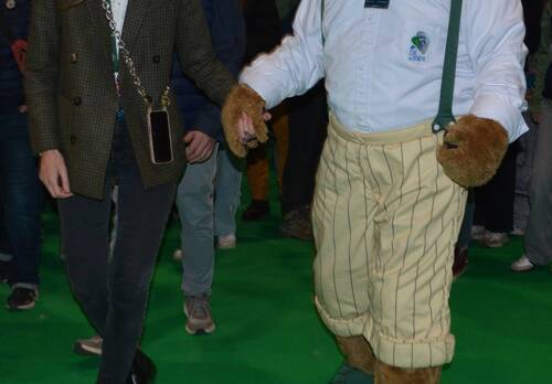 Description de l'image