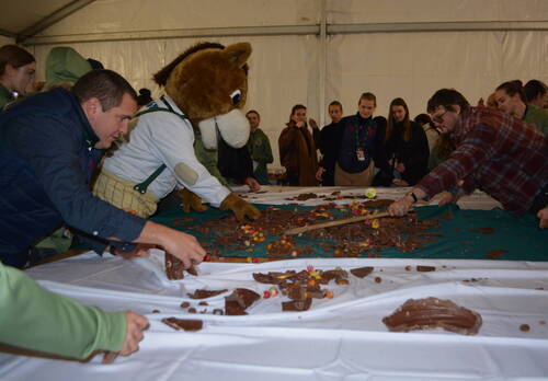 Description de l'image