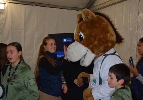 Description de l'image