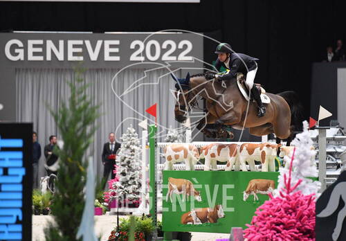 Description de l'image