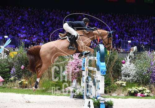 Description de l'image