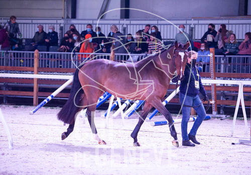 Optimized by JPEGmini 3.18.4.211163429-AP 0x7b59d2ac