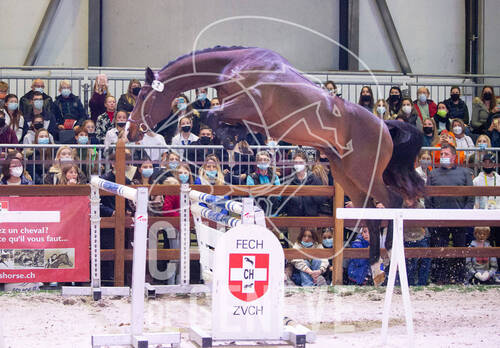 Optimized by JPEGmini 3.18.4.211163429-AP 0xdf638f05