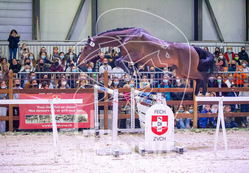 Optimized by JPEGmini 3.18.4.211163429-AP 0x0dedb4be