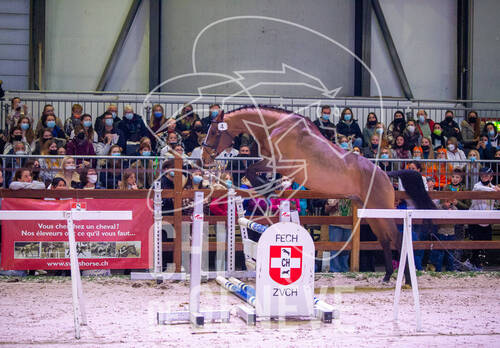 Optimized by JPEGmini 3.18.4.211163429-AP 0xdf638f05