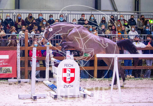 Optimized by JPEGmini 3.18.4.211163429-AP 0xf1db7e15