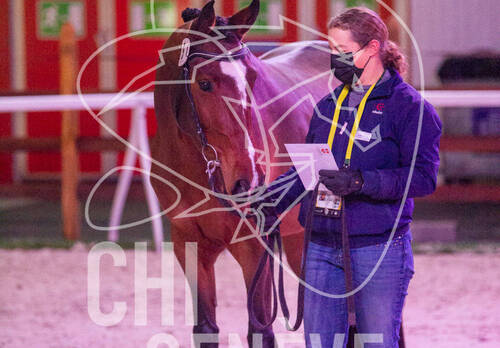 Optimized by JPEGmini 3.18.4.211163429-AP 0xcc8fe012