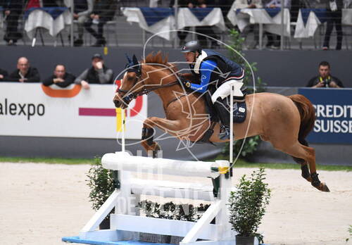 Description de l'image