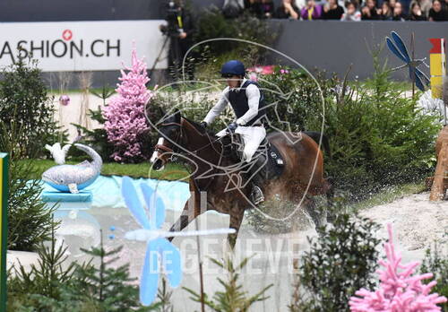 Description de l'image