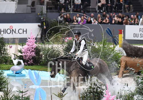 Description de l'image