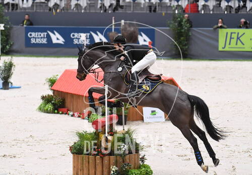 Description de l'image