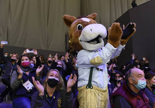 Dagz
Palexpo CHI Genève 11 décembre 2021