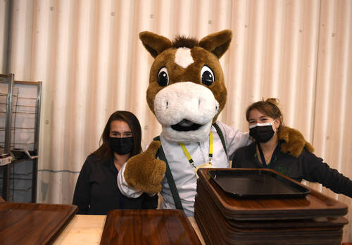 Dagz
Palexpo CHI Genève 11 décembre 2021