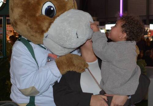 Description de l'image