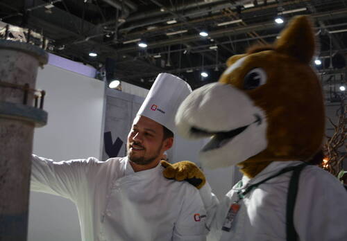 Description de l'image