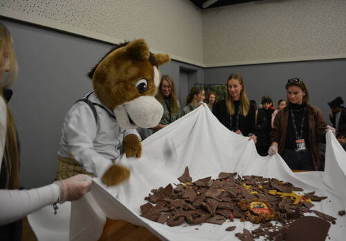 Description de l'image