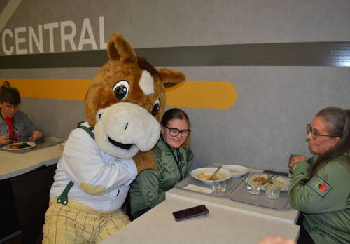 Description de l'image