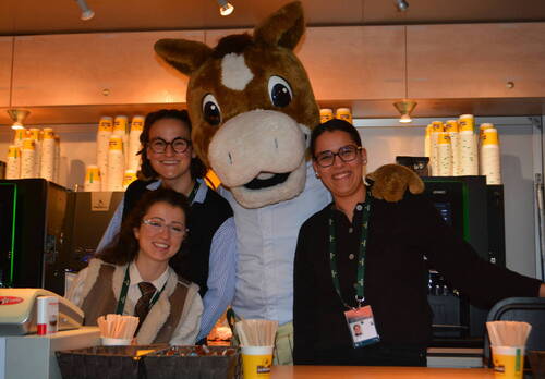 Description de l'image