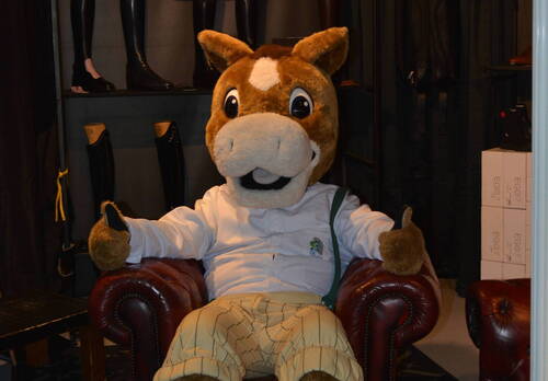 Description de l'image