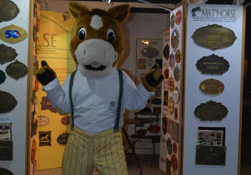 Description de l'image