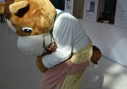 Description de l'image