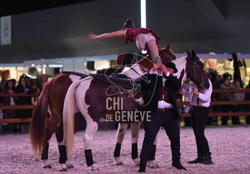 Spectacles équestres 
Piste d'attraction_CHI Genève 08.décembre 2022