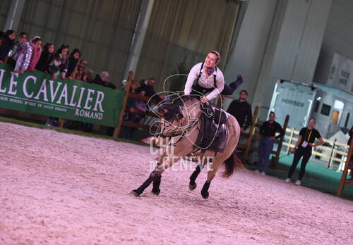 Spectacles équestres 
Piste d'attraction_CHI Genève 08.décembre 2022