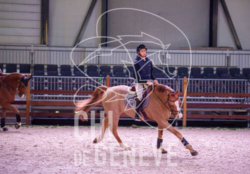 Optimized by JPEGmini 3.18.4.211163429-AP 0xe56b14aa