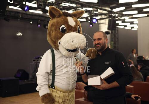 Description de l'image