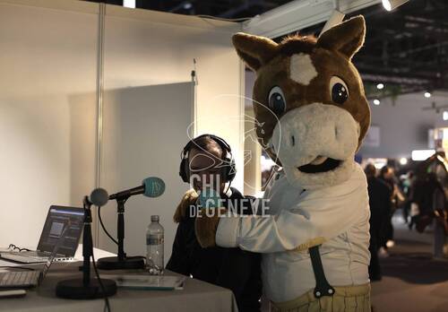 Description de l'image