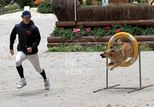 Description de l'image