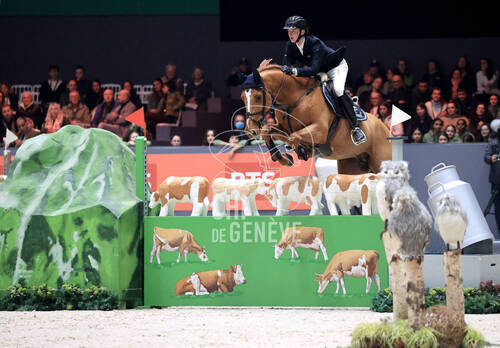 Description de l'image