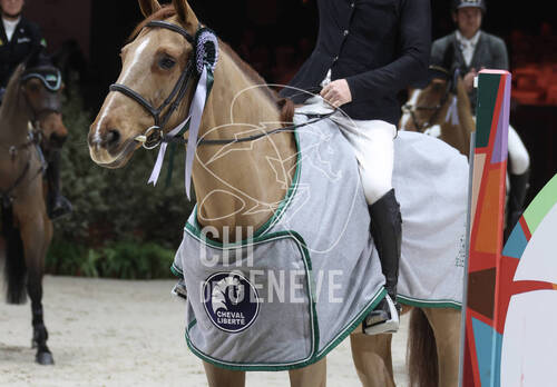 Description de l'image