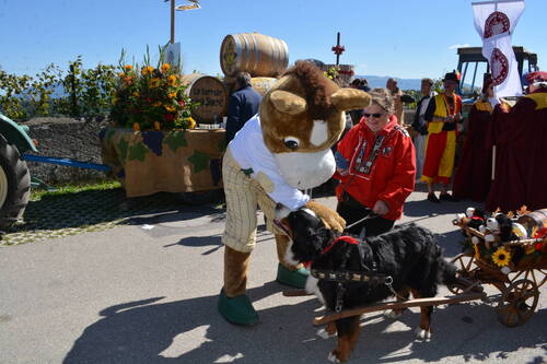 Dagz en balade à Russin