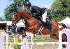 Ce week-end se déroulait la 7ème étape du circuit des Wild Cards lors du Jumping National de Sion. Les Romands étaient nombreux et en forme pour ce Grand Prix. C'est Franck Goubard qui s'adjuge la victoire, Daniela Krebs est 2e et Aurélie Rytz 3e, suivent Mehdi Roessli, Jean-Maurice Brahier, Jessica Dolt, Audrey Geiser Steulet, Simon Broillet, Christian Tardy et Laurent Fasel. Quelle belle brochette!  Jean-Maurice Brahier, grâce à cette 5e place et sa régularité sur le circuit au cours de la saison, reprend la tête du classement des Wild-Cards! Mais les points sont serrés et tout reste ouvert avant les deux étapes finales (Championnat Romand Elite et le Grand Prix de Chevenez) ...