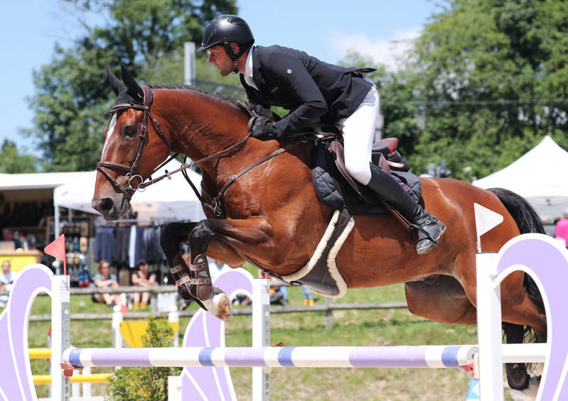 Ce week-end se déroulait la 7ème étape du circuit des Wild Cards lors du Jumping National de Sion. Les Romands étaient nombreux et en forme pour ce Grand Prix. C'est Franck Goubard qui s'adjuge la victoire, Daniela Krebs est 2e et Aurélie Rytz 3e, suivent Mehdi Roessli, Jean-Maurice Brahier, Jessica Dolt, Audrey Geiser Steulet, Simon Broillet, Christian Tardy et Laurent Fasel. Quelle belle brochette!  Jean-Maurice Brahier, grâce à cette 5e place et sa régularité sur le circuit au cours de la saison, reprend la tête du classement des Wild-Cards! Mais les points sont serrés et tout reste ouvert avant les deux étapes finales (Championnat Romand Elite et le Grand Prix de Chevenez) ...