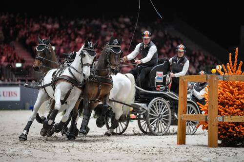 Koos DE RONDE (NED) during the day 4 of Rolex Grand Slam of Show Jumping 2024 at Palexpo on December 14, 2024 in Geneva, Switzerland. (Photo by Pierre Costabadie/Icon Sport)