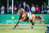 Daniel Deusser of Germany riding Scuderia 1918 Tobago Z during the Brussels Stephex Masters on August 28, 2022 in Brussels, Belgium. (Photo by Pierre Costabadie/Icon Sport)