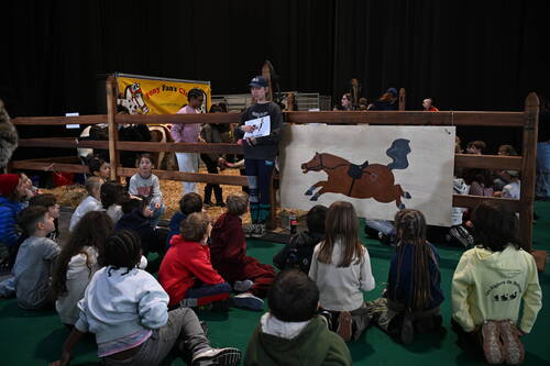 © CHIG / Joseph Carlucci