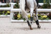 Horse's feet
