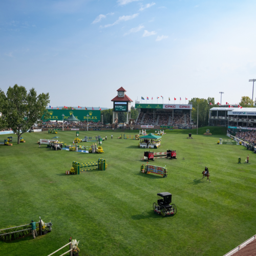Spruce Meadows