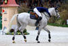 Sports Equestres Jumping 11/12/2016 CHI Geneve Rolex Grand Prix Fuchs Martin (SUI) - Clooney 51