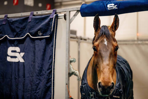 © CHIG / Helen Cruden