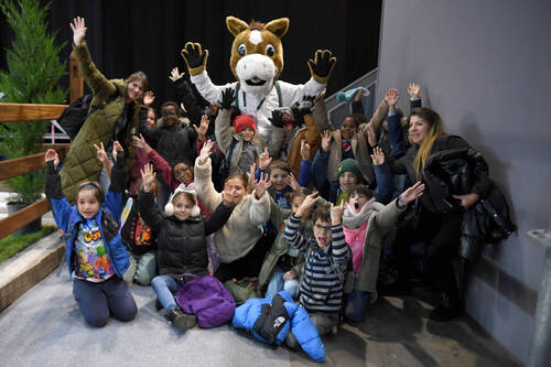 © CHIG / Joseph Carlucci