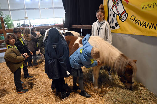 © CHIG / Joseph Carlucci