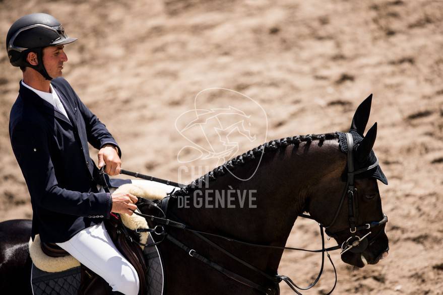 Steve Guerdat et Alamo - Photo Ashley Neuhof