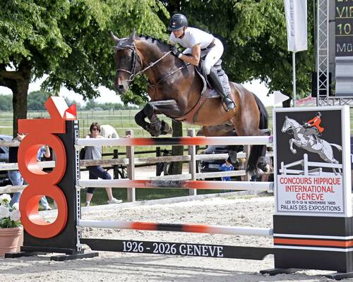 Obstacle 100 ans - Crête