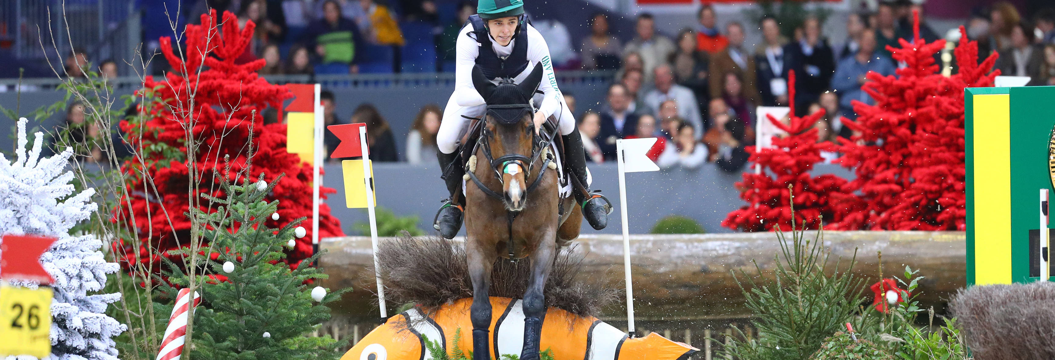 DANIELS  Cathal (IRL) riding Alcatraz   during the CHI Geneva on December 13 2019 in Geneva, Switzerland. (Photo by Scoop Dyga/Icon Sport)