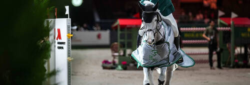Donald WHITAKER (GBR) riding MILLFIELD COLETTE during the Day 2 of the 64th CHI of Geneva on December 11, 2025 in Geneva, Switzerland. (Photo by Pierre Costabadie/Icon Sport)